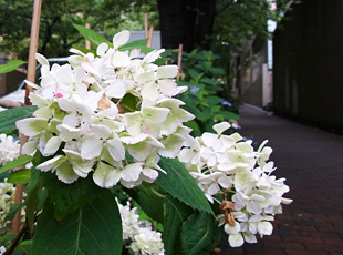 130615_1.jpg