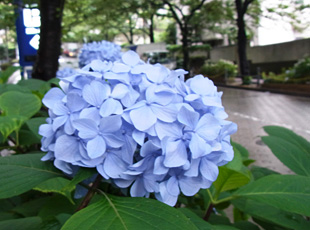 130615_3.jpg