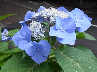 130615_4.jpg