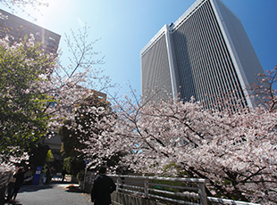 150319_2.jpg