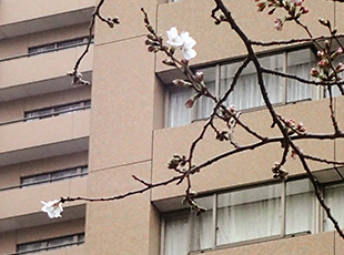 160316_1.jpg