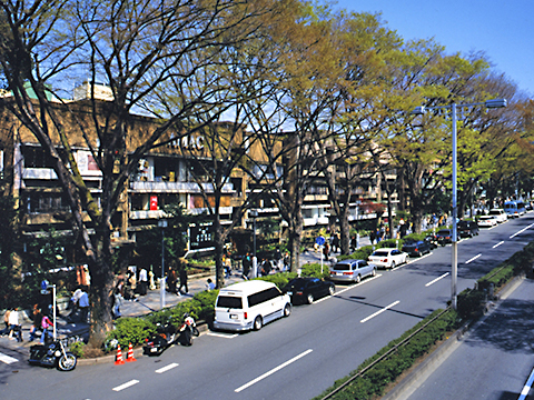 建替え前の同潤会青山アパート