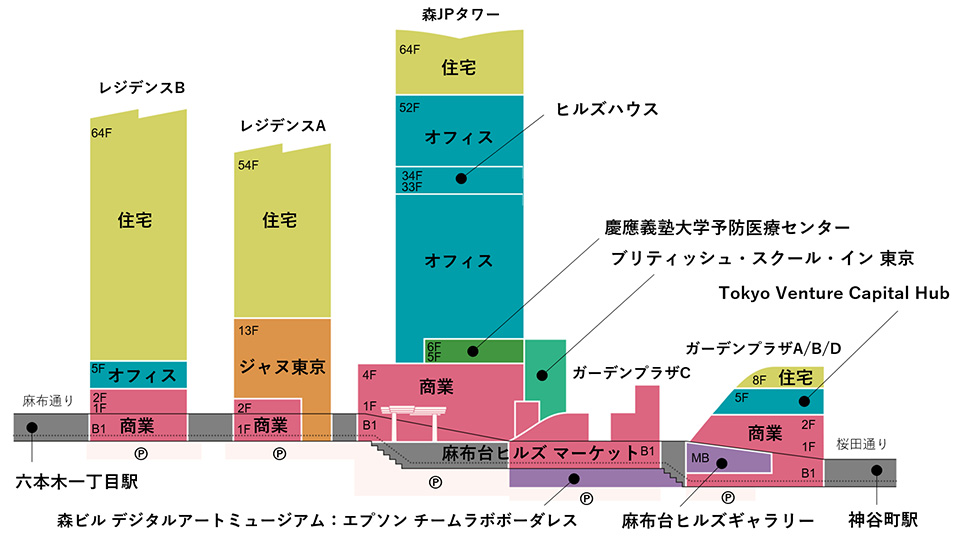 立面図