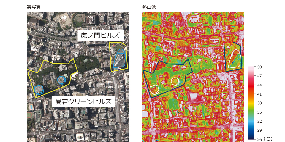 熱画像（撮影：スカイマップ株式会社）